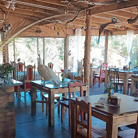Petrohue Hospedaje Donde La Nena Kültér fotó