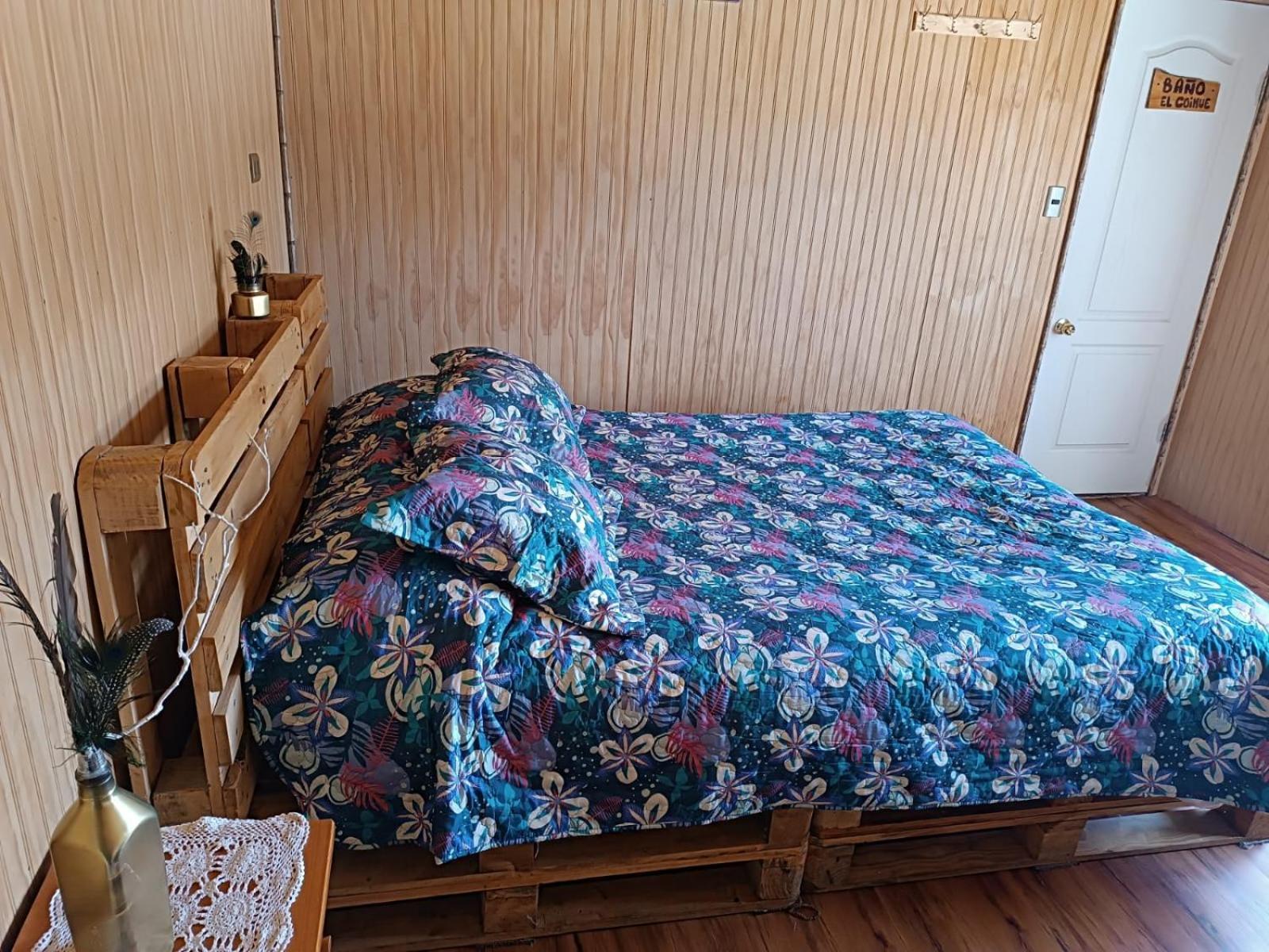 Petrohue Hospedaje Donde La Nena Kültér fotó